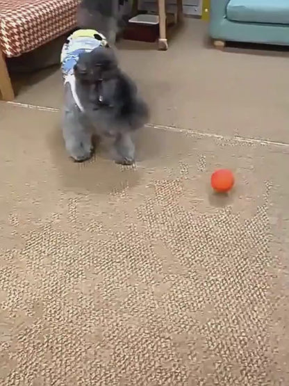 JumpGlow Bouncy Rubber Dog Ball – Durable, Colorful & Chew-Resistant Keep your dog active, happy, and healthy with this high-bounce rubber dog ball—specially designed for hours of fun and interactive play. Whether it’s fetch, chew time, or solo bouncing e