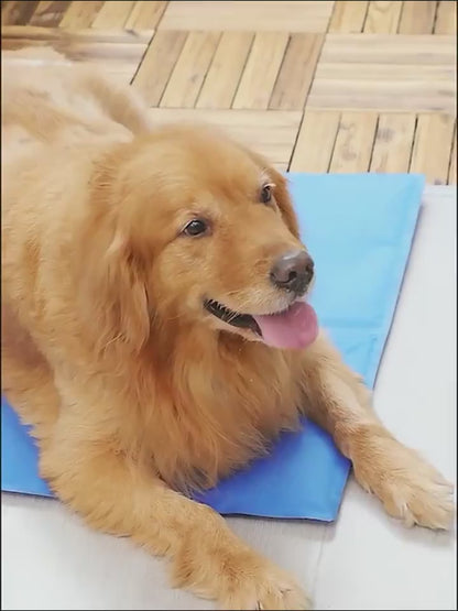 ChillPaw™ Cooling Pad Overview: 1. This mat can train dogs to learn to positioned defecation 2. Adopting the high-quality material, it can absorb the urine quickly, not easy to leak back. 3. Anti slid bottom can prevent the dogs from moving the pad becaus
